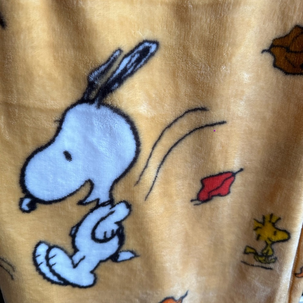 Throw blanket for fall/Halloween peanuts edition